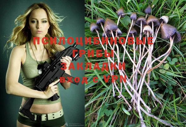 дурь Приозерск