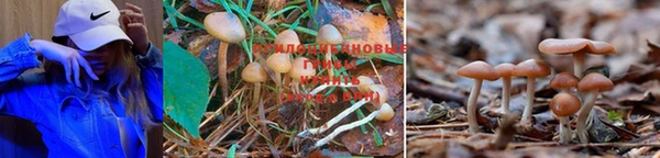 гашиш Протвино